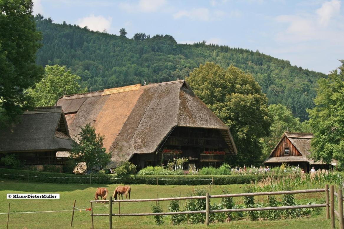 Haus Am Waldrand Villa Triberg im Schwarzwald Ngoại thất bức ảnh