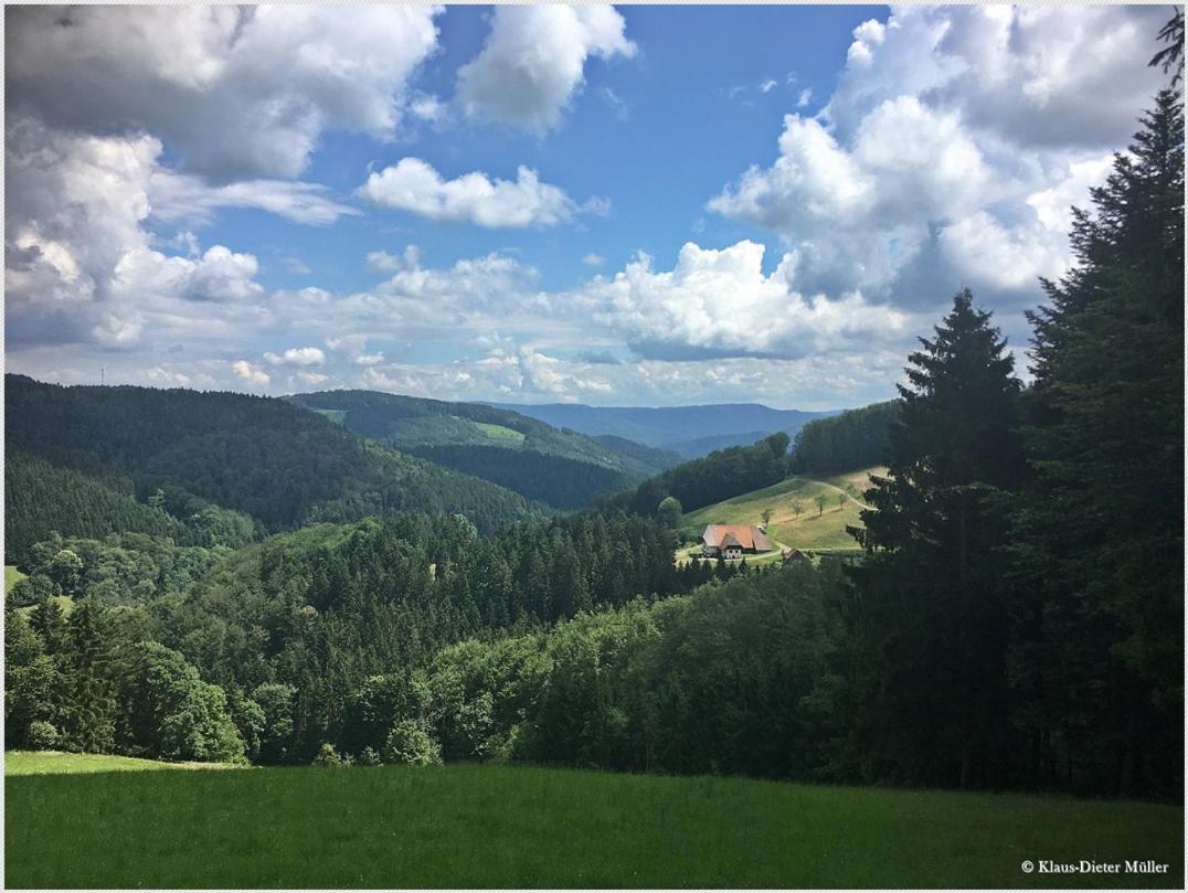Haus Am Waldrand Villa Triberg im Schwarzwald Ngoại thất bức ảnh