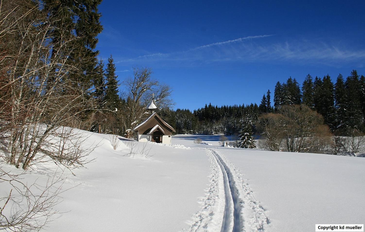 Haus Am Waldrand Villa Triberg im Schwarzwald Ngoại thất bức ảnh