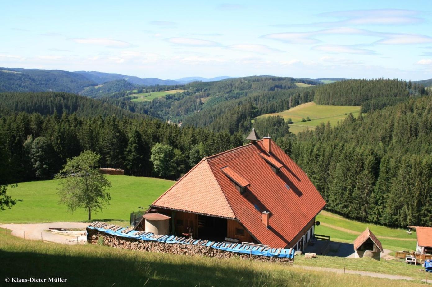 Haus Am Waldrand Villa Triberg im Schwarzwald Ngoại thất bức ảnh