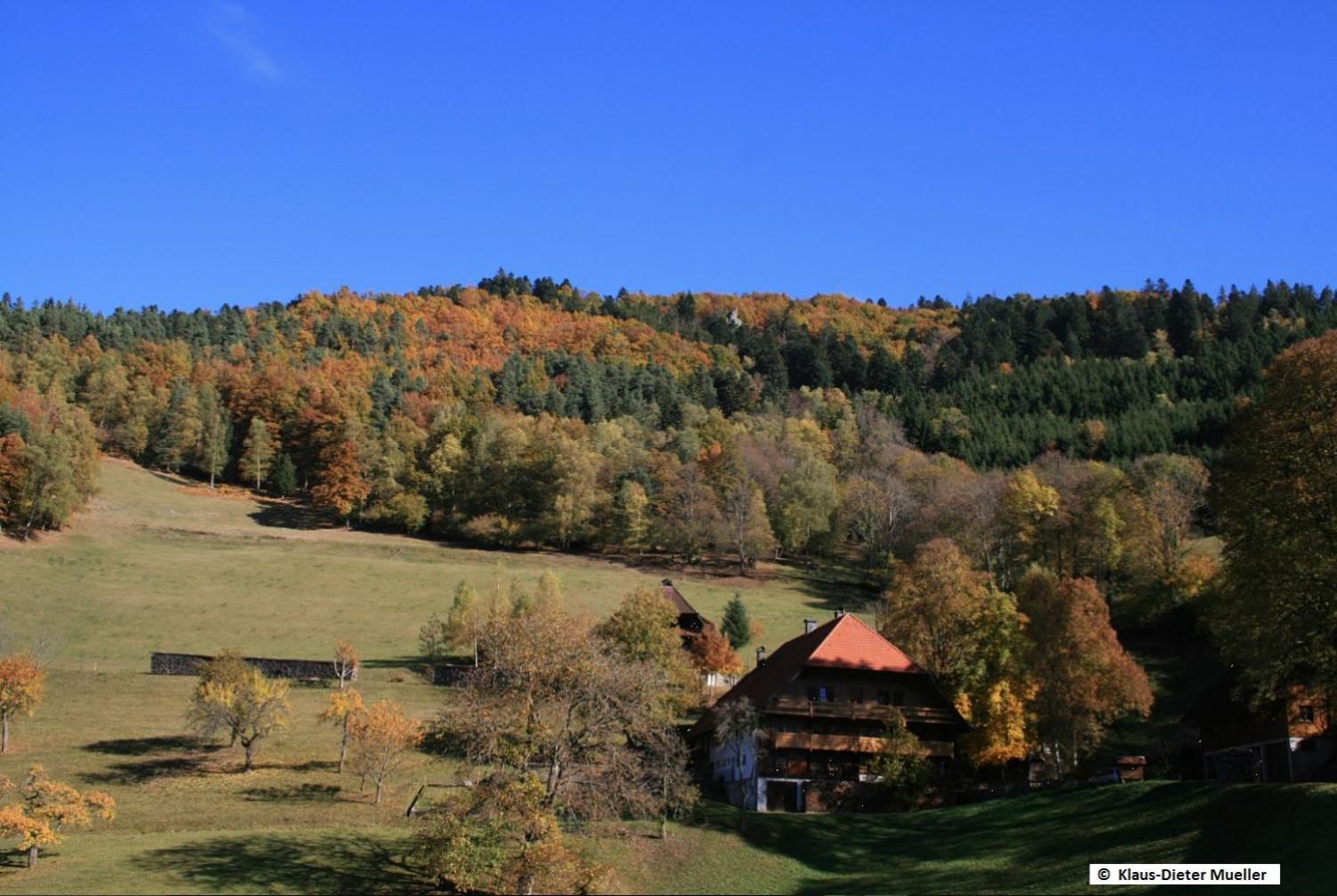 Haus Am Waldrand Villa Triberg im Schwarzwald Ngoại thất bức ảnh