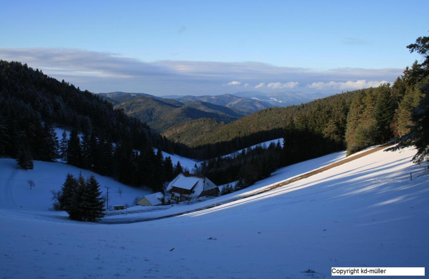 Haus Am Waldrand Villa Triberg im Schwarzwald Ngoại thất bức ảnh
