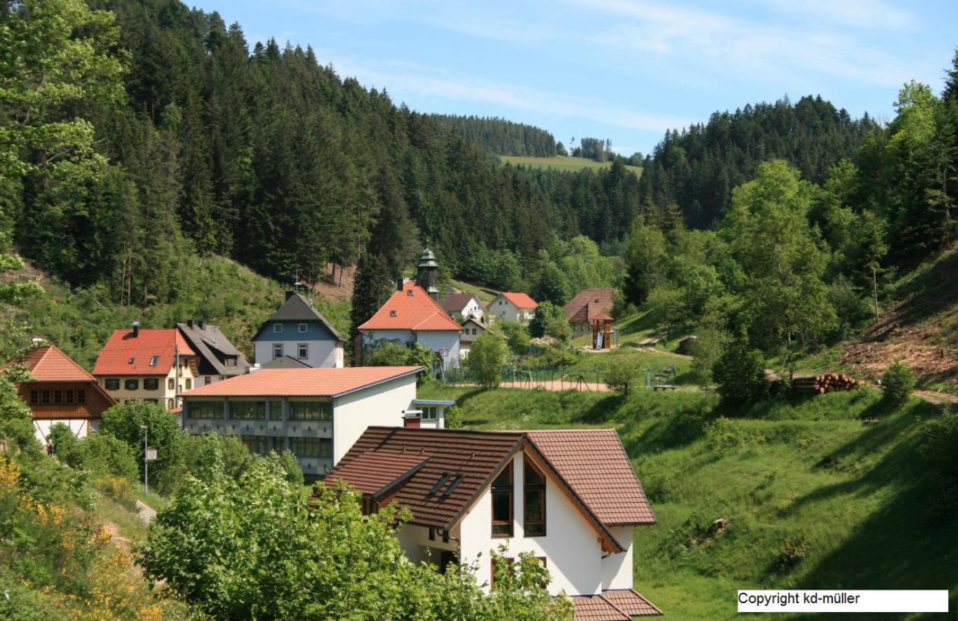 Haus Am Waldrand Villa Triberg im Schwarzwald Ngoại thất bức ảnh