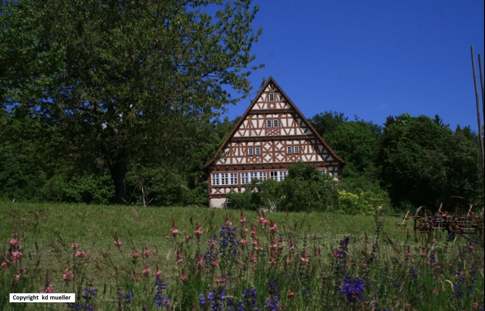 Haus Am Waldrand Villa Triberg im Schwarzwald Ngoại thất bức ảnh