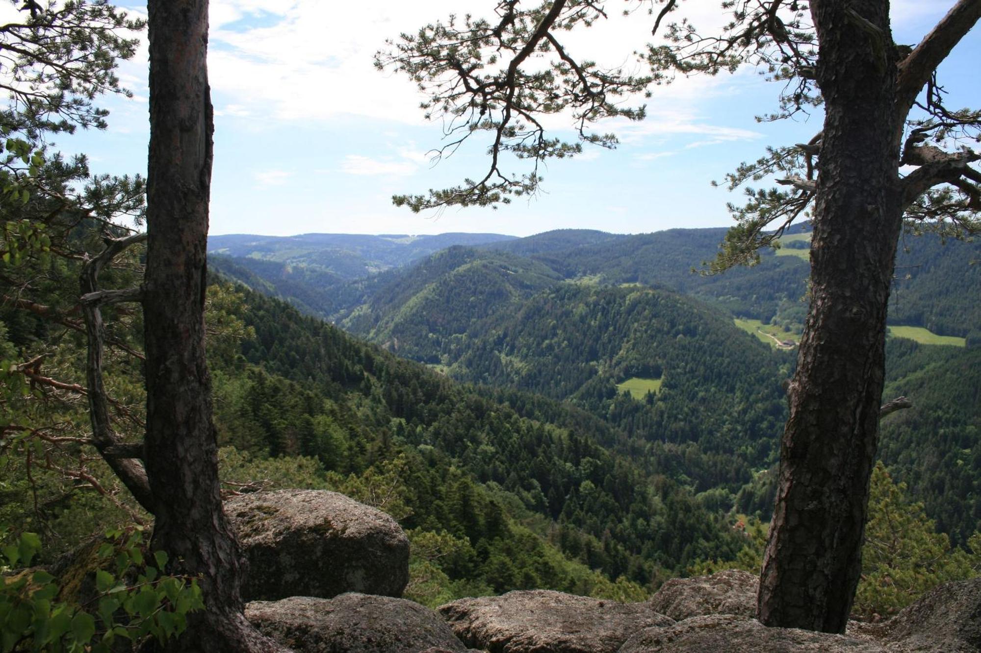Haus Am Waldrand Villa Triberg im Schwarzwald Ngoại thất bức ảnh