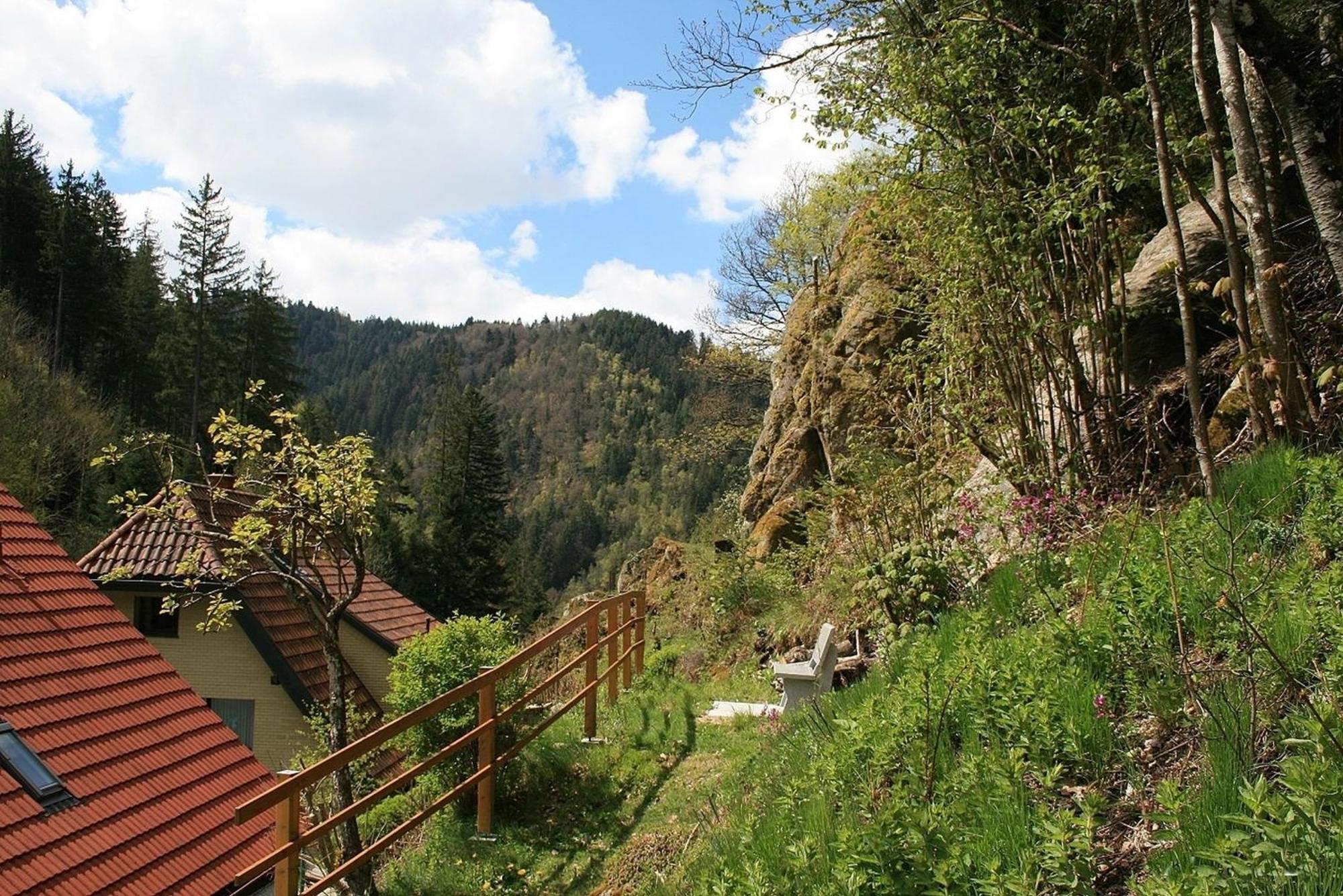 Haus Am Waldrand Villa Triberg im Schwarzwald Ngoại thất bức ảnh