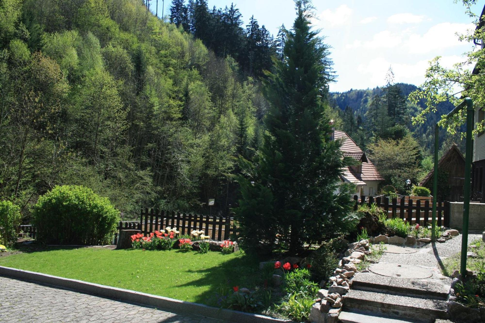 Haus Am Waldrand Villa Triberg im Schwarzwald Ngoại thất bức ảnh