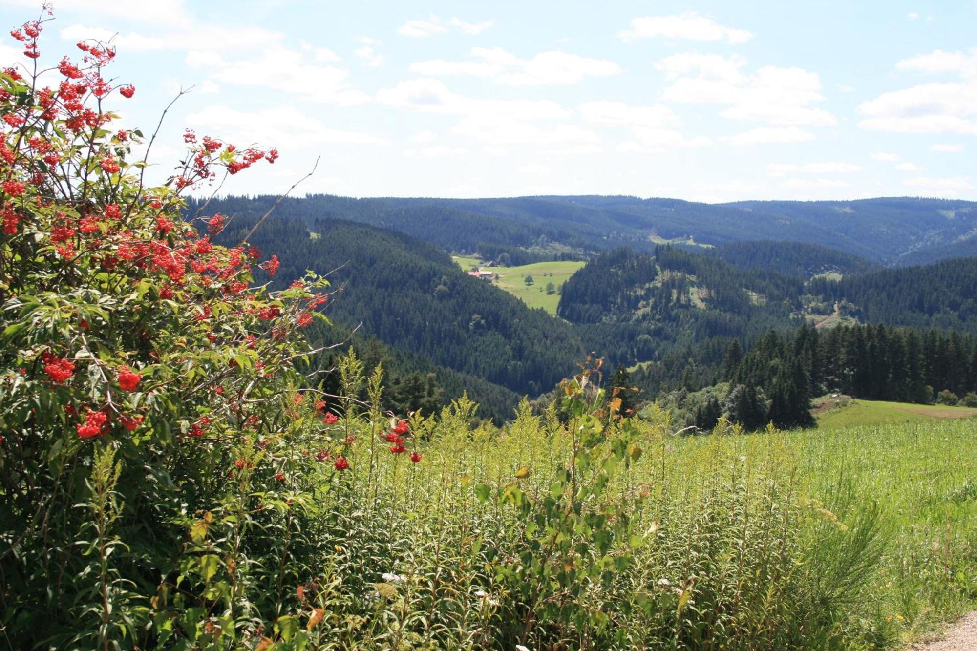 Haus Am Waldrand Villa Triberg im Schwarzwald Ngoại thất bức ảnh